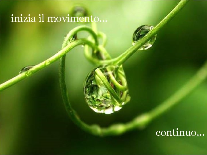 inizia il movimento. . . continuo. . . 