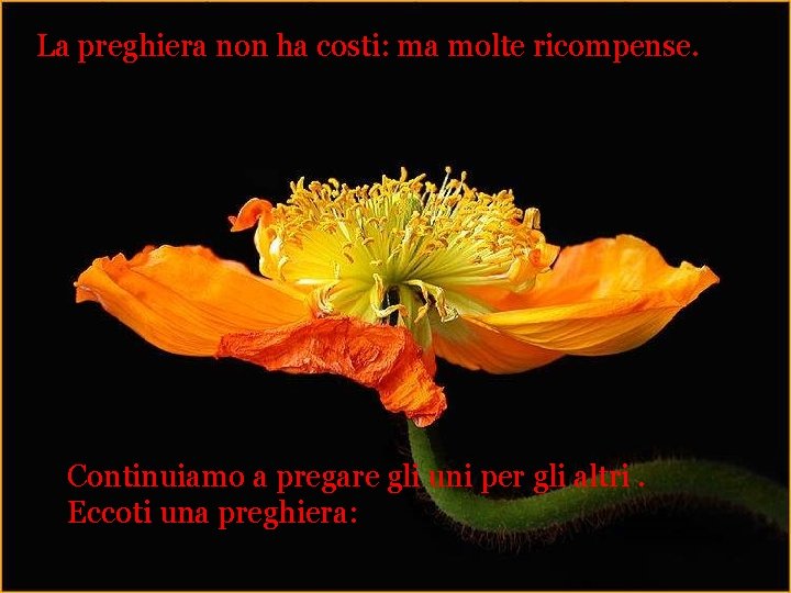 La preghiera non ha costi: ma molte ricompense. Continuiamo a pregare gli uni per