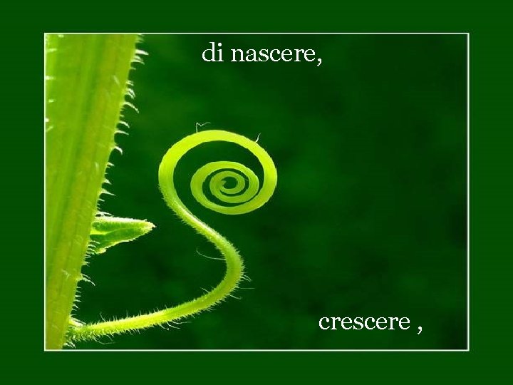 di nascere, crescere , 