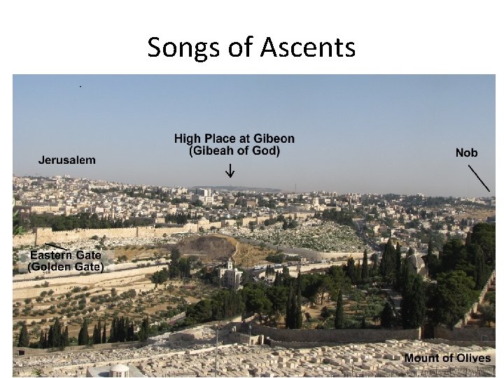 Songs of Ascents 