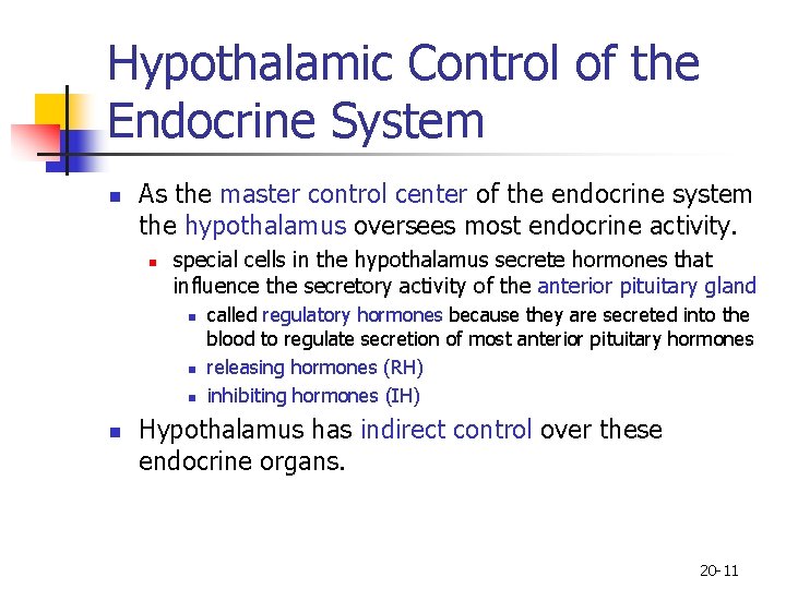 Hypothalamic Control of the Endocrine System n As the master control center of the