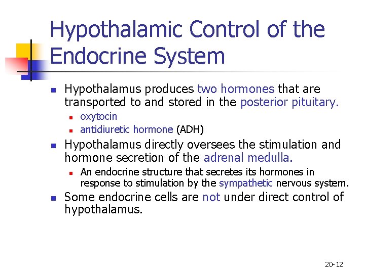 Hypothalamic Control of the Endocrine System n Hypothalamus produces two hormones that are transported