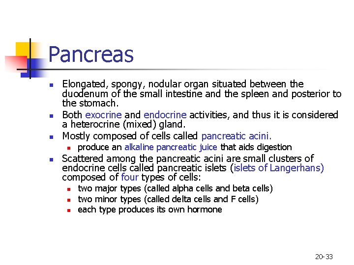 Pancreas n n n Elongated, spongy, nodular organ situated between the duodenum of the