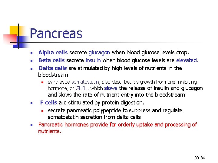 Pancreas n n n Alpha cells secrete glucagon when blood glucose levels drop. Beta