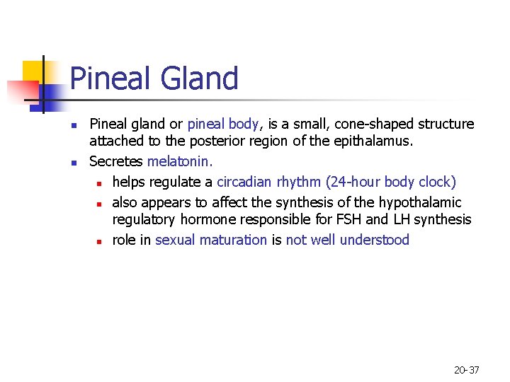 Pineal Gland n n Pineal gland or pineal body, is a small, cone-shaped structure