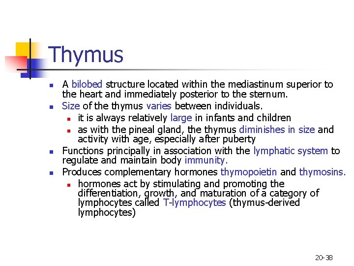 Thymus n n A bilobed structure located within the mediastinum superior to the heart