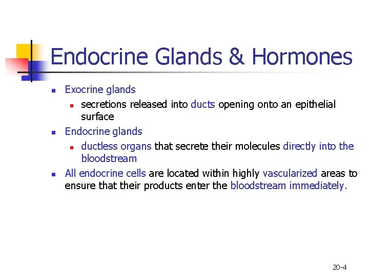 Endocrine Glands & Hormones n n n Exocrine glands n secretions released into ducts