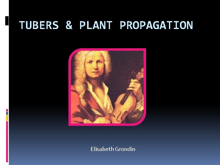 TUBERS & PLANT PROPAGATION Elisabeth Grondin 