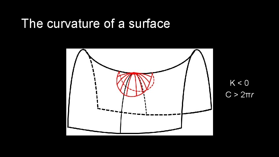 The curvature of a surface K<0 C > 2πr 