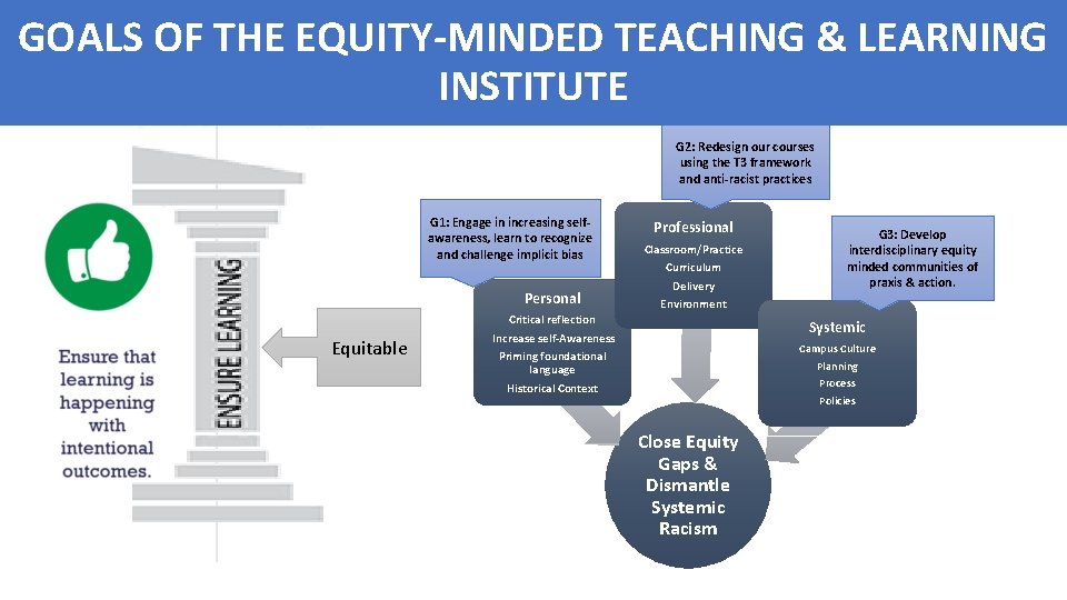 GOALS Goals OF THEof. EQUITY-MINDED TEACHING & LEARNING the Equity-Minded Teaching and INSTITUTE Learning