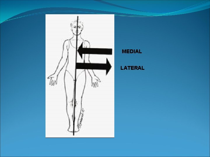 MEDIAL LATERAL 