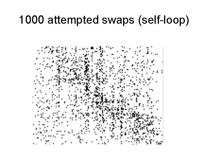 1000 attempted swaps (self-loop) 