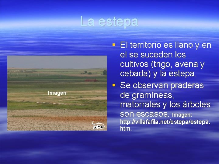 La estepa Imagen El territorio es llano y en el se suceden los cultivos