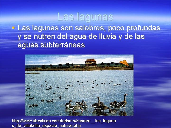 Las lagunas son salobres, poco profundas y se nutren del agua de lluvia y