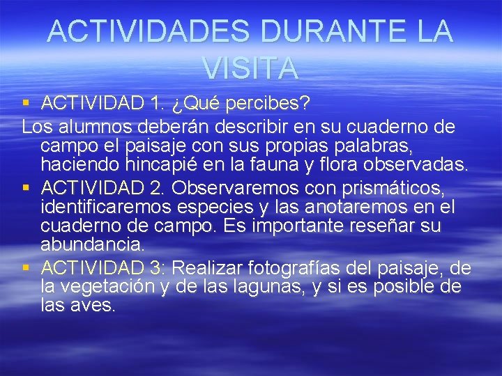 ACTIVIDADES DURANTE LA VISITA ACTIVIDAD 1. ¿Qué percibes? Los alumnos deberán describir en su