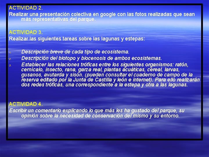 ACTIVIDAD 2. Realizar una presentación colectiva en google con las fotos realizadas que sean