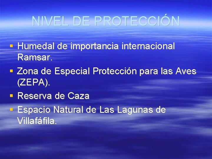 NIVEL DE PROTECCIÓN Humedal de importancia internacional Ramsar. Zona de Especial Protección para las NIVEL DE PROTECCIÓN Humedal de importancia internacional Ramsar. Zona de Especial Protección para las