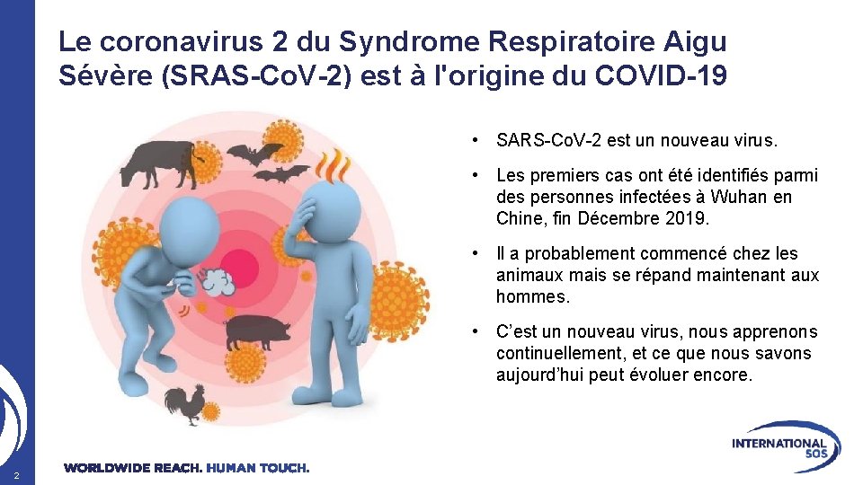 Le coronavirus 2 du Syndrome Respiratoire Aigu Sévère (SRAS-Co. V-2) est à l'origine du