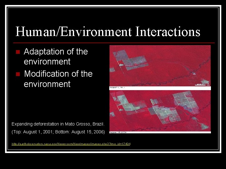 Human/Environment Interactions n n Adaptation of the environment Modification of the environment Expanding deforestation Human/Environment Interactions n n Adaptation of the environment Modification of the environment Expanding deforestation