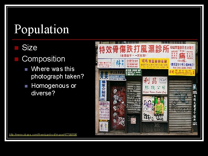 Population n n Size Composition n n Where was this photograph taken? Homogenous or Population n n Size Composition n n Where was this photograph taken? Homogenous or