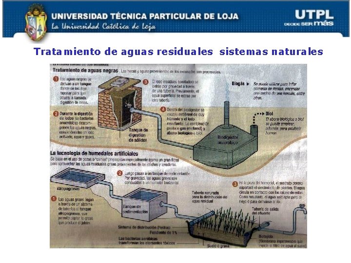 Tratamiento de aguas residuales sistemas naturales Tabla 2. Características de un agua de vertiente