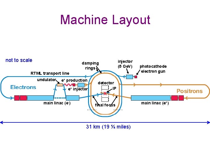 Machine Layout not to scale damping rings injector (5 Ge. V) RTML transport line