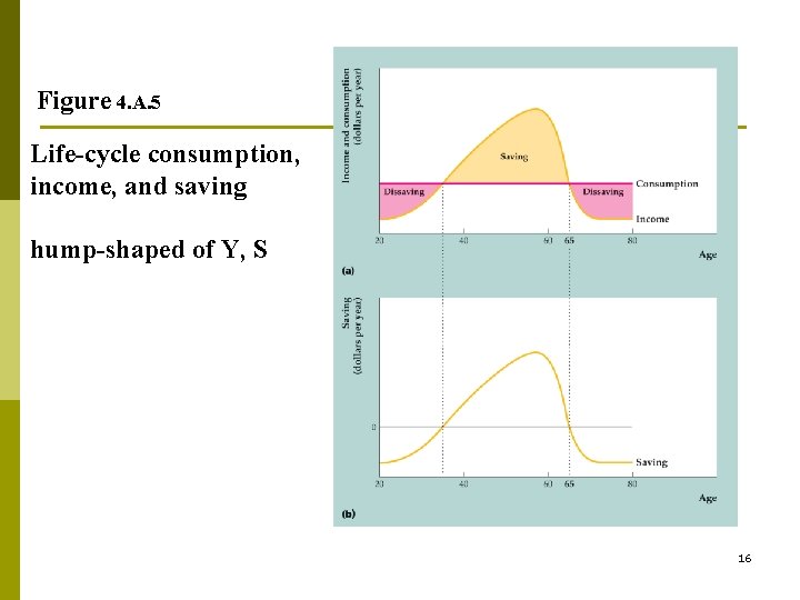 Figure 4. A. 5 Life-cycle consumption, income, and saving hump-shaped of Y, S 16