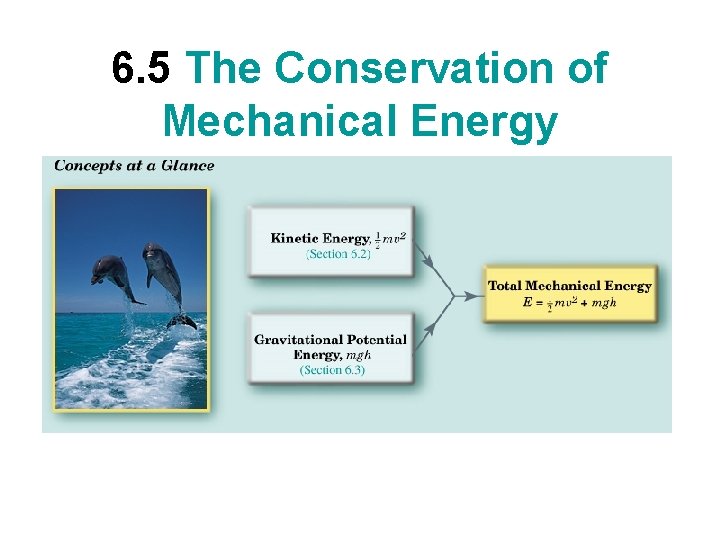 6. 5 The Conservation of Mechanical Energy 