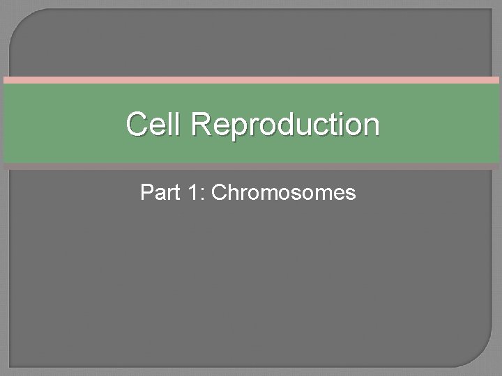 Cell Reproduction Part 1: Chromosomes 