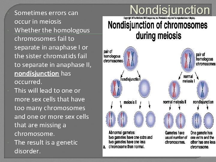  Sometimes errors can occur in meiosis Whether the homologous chromosomes fail to separate
