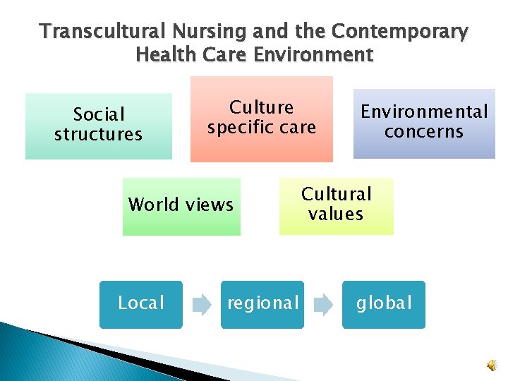 Transcultural Nursing and the Contemporary Health Care Environment Social structures Culture specific care World