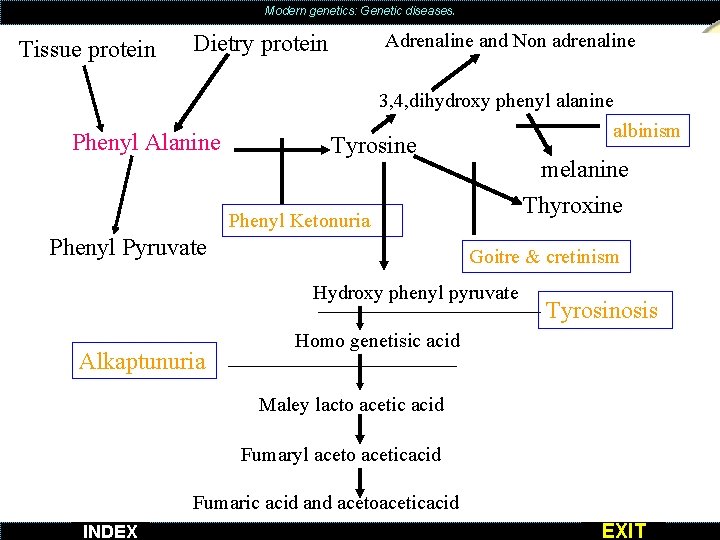 Modern genetics: Genetic diseases. Tissue protein Adrenaline and Non adrenaline Dietry protein Phenyl Alanine