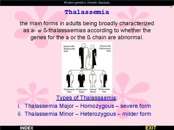 Modern genetics: Genetic diseases. Thalassemia the main forms in adults being broadly characterized as