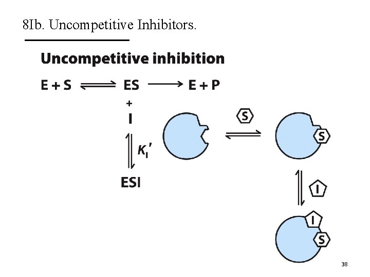 8 Ib. Uncompetitive Inhibitors. 38 