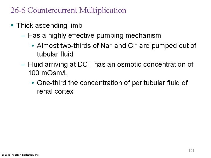 26 -6 Countercurrent Multiplication § Thick ascending limb – Has a highly effective pumping