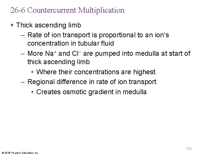 26 -6 Countercurrent Multiplication § Thick ascending limb – Rate of ion transport is