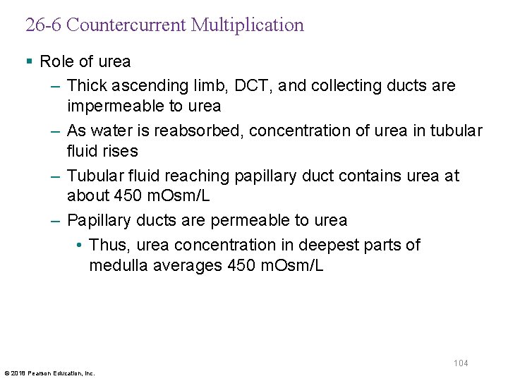 26 -6 Countercurrent Multiplication § Role of urea – Thick ascending limb, DCT, and