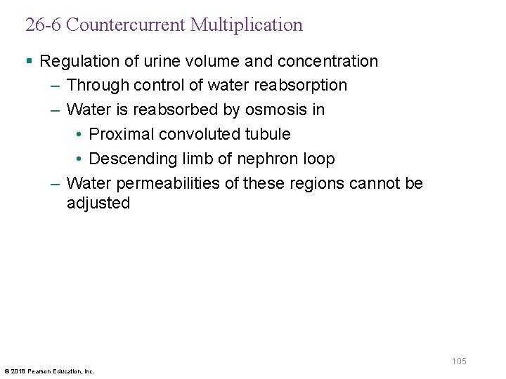 26 -6 Countercurrent Multiplication § Regulation of urine volume and concentration – Through control