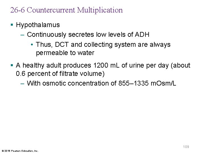 26 -6 Countercurrent Multiplication § Hypothalamus – Continuously secretes low levels of ADH •