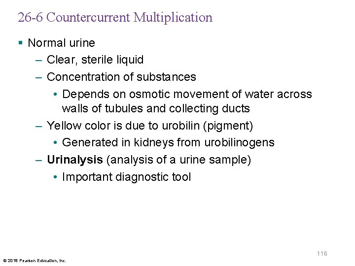 26 -6 Countercurrent Multiplication § Normal urine – Clear, sterile liquid – Concentration of