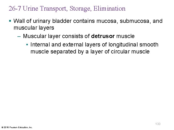 26 -7 Urine Transport, Storage, Elimination § Wall of urinary bladder contains mucosa, submucosa,