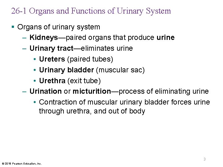 26 -1 Organs and Functions of Urinary System § Organs of urinary system –