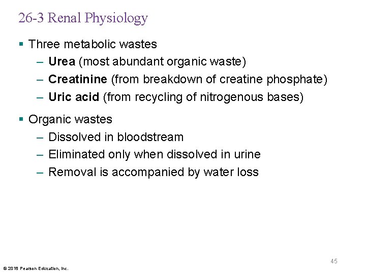 26 -3 Renal Physiology § Three metabolic wastes – Urea (most abundant organic waste)