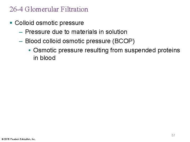 26 -4 Glomerular Filtration § Colloid osmotic pressure – Pressure due to materials in