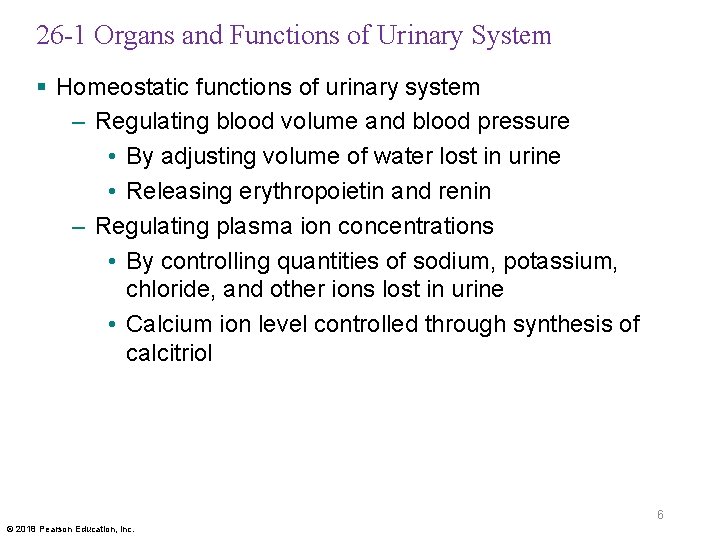 26 -1 Organs and Functions of Urinary System § Homeostatic functions of urinary system