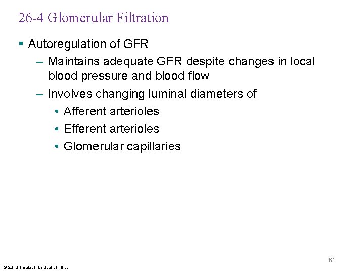 26 -4 Glomerular Filtration § Autoregulation of GFR – Maintains adequate GFR despite changes