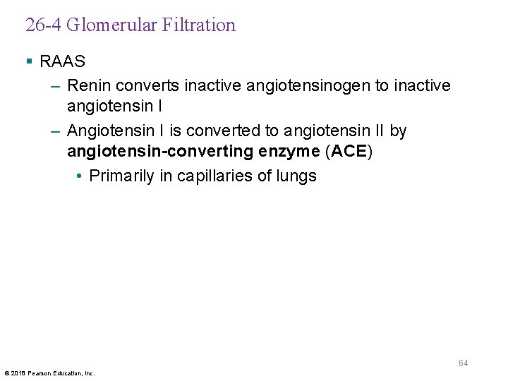 26 -4 Glomerular Filtration § RAAS – Renin converts inactive angiotensinogen to inactive angiotensin