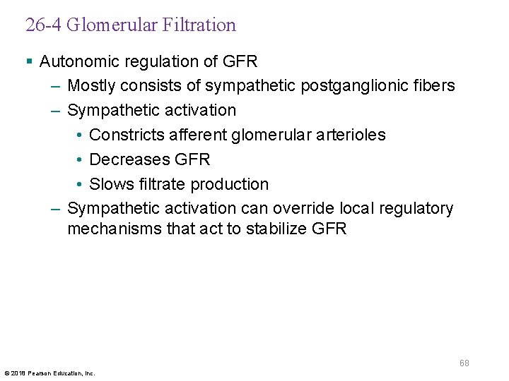 26 -4 Glomerular Filtration § Autonomic regulation of GFR – Mostly consists of sympathetic