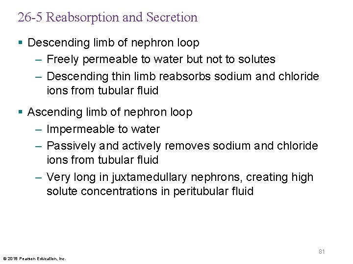 26 -5 Reabsorption and Secretion § Descending limb of nephron loop – Freely permeable