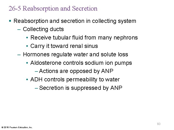 26 -5 Reabsorption and Secretion § Reabsorption and secretion in collecting system – Collecting
